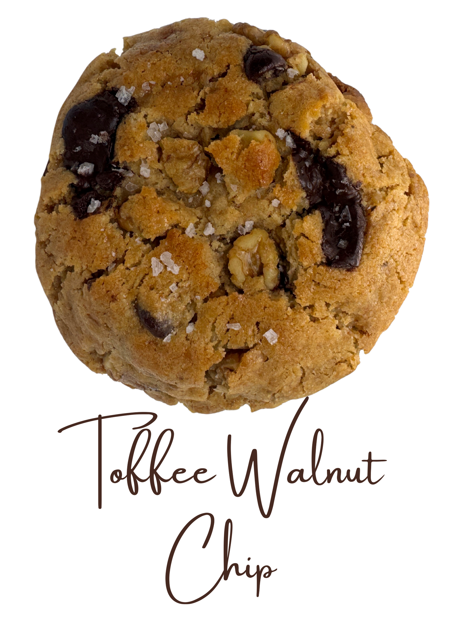 Picture of the Toffee Walnut Chip cookie with text label on a white background. Cookie shows chunks of chocolate chips, walnut, and sea salt.